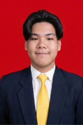 VINCENTIUS WIDJAJA