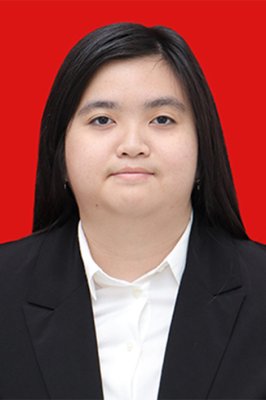 MESSYA CARMENT