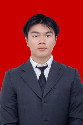 VIENCENTIUS DELVIN FRELIM