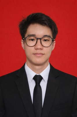 WILLSON WIJAYA