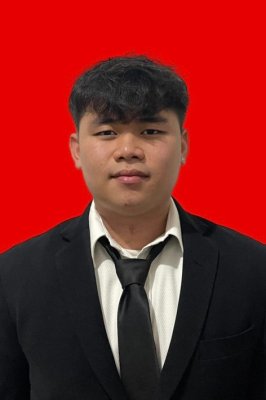 VINCENT