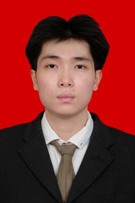ALVIN HANS THEDIONO