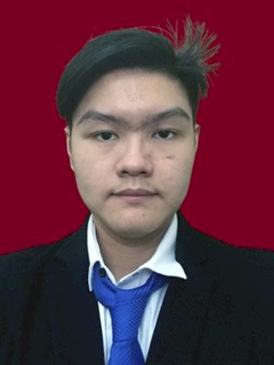 STEFANUS LIAUW NATAN