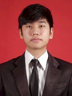 VINCENT LIN FENDRY