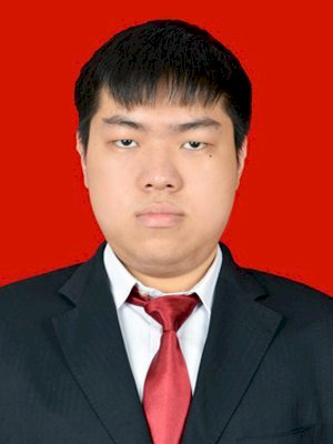 VINCENZA HELIS STEVIN BER