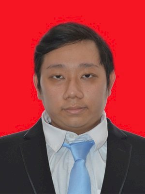 VINCENTIUS FERNANDO